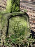 image of grave number 732838